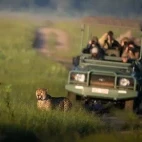 Guests on a vehicle safari at Sable Valley Lodge, Zimbabwe.