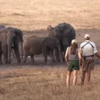 Guests on a walking safari from Sable Valley Lodge, Zimbabwe. 
