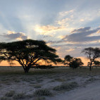 Scenic Sunset in the Central Kalahari Game Reserve
