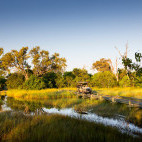 Game drive from The Jackal and Hide in Khwai Concession, Botswana