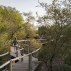 Walkway at Mashatu Lodge in Botswana