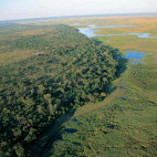 Aerial shot of the Okavango Delta in Botswana