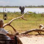 Elephant watching at Kwara Camp in Okavango Delta, Botswana