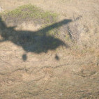 Shadow of a light aircraft over the Okavango Delta in Botswana.
