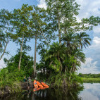 Kayaks in Odzala-Kokoua National Park, Congo.