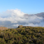 Bale Mountains National Park in Ethiopia.