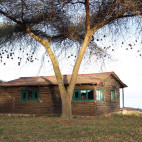 Lakeside bungalow at Hara Langano Eco Lodge in Ethiopia
