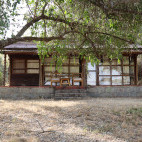 Woodland bungalow at Hara Langano Eco Lodge in Ethiopia