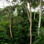Kakum National Park in Ghana
