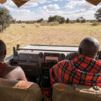 Game drive at Porini Amboseli Camp in Kenya