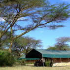 Tent at Porini Mara Camp in Kenya