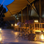 Porini Lion Camp in Kenya