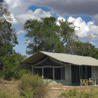 Porini Lion Camp in Kenya