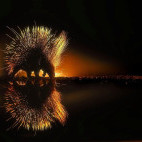 Porcupine in Olkirimatian Conservancy, Kenya.