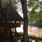 Crocodile Bar at Samburu Game Lodge, Kenya