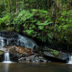 Sacred Waterfall, Piste Ranasoa, in Andasibe-Mantadia National Park, Madagascar.
