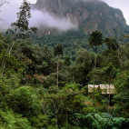 Lowland rainforest in Marojejy  National Park, Madagascar.