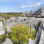 Tsingy de Bemaraha in Madagascar