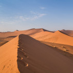Dune 45 in Sossusveli, Namib Naukluft Park, Namibia