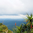 God's window viewpoint with aloe flowers in South Africa