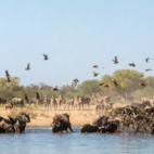 Waterhole in Kalahari Private Reserve, South Africa