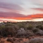 The Karoo in South Africa