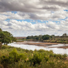 Sabi Sands River in South Africa