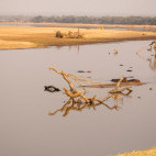 Luangwa River in South Luangwa National Park, Zambia.