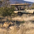 Game drive from Thakadu River Camp in South Africa