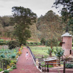 Farm walk from Gibb's Farm in Tanzania.