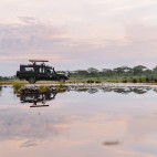 Vehicle safari in Tanzania