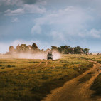 Vehicle safari in Tanzania