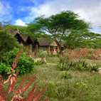 Ndutu Safari Lodge in Tanzania