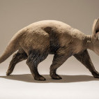Aardvark sculpture by Nick Mackman