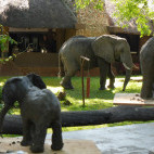 Sculpture workshop with Nick Mackman in Zambia