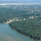 Aerial of the Lower Zambezi, Zambia.