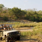 Game drive in Zambia.