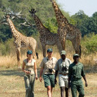 People on a walking safari in South Luangwa National Park, Zambia 