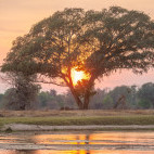 Sunset in North Luangwa National Park, Zambia