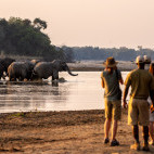 Watching elephants on a walking safari in North Luangwa National Park, Zambia