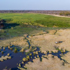 Vehicle safari in North Luangwa National Park, Zambia
