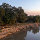 Tafika Camp in South Luangwa National Park, Zambia