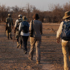 Walking safari in North Luangwa National Park, Zambia.