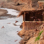 Carmine bee-eater hide at Tafika Camp in South Luangwa National Park, Zambia.