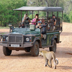 Leopard and safari vehicle in South Luangwa, Zambia