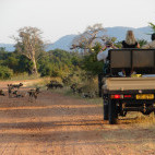 Safari vehicle in South Luangwa National Park, Zambia
