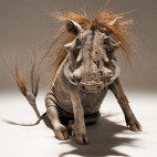 Warthog sculpture by Nick Mackman