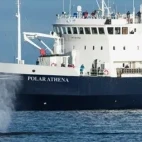 External view of Polar Athena, with guests observing a whale in Antarctica.