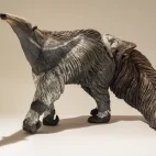 An anteater with young.