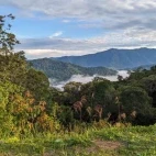 View from an insect trap, at Trus Madi Entomology Camp, Borneo